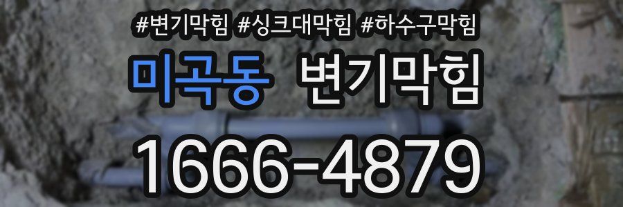 변기막힘