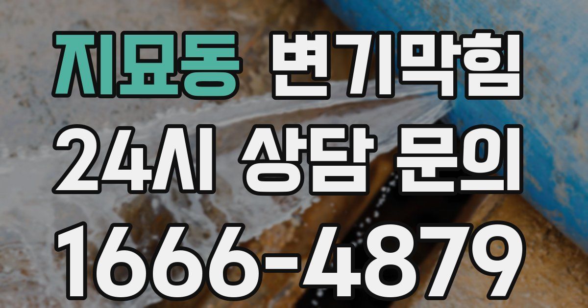 지묘동 변기