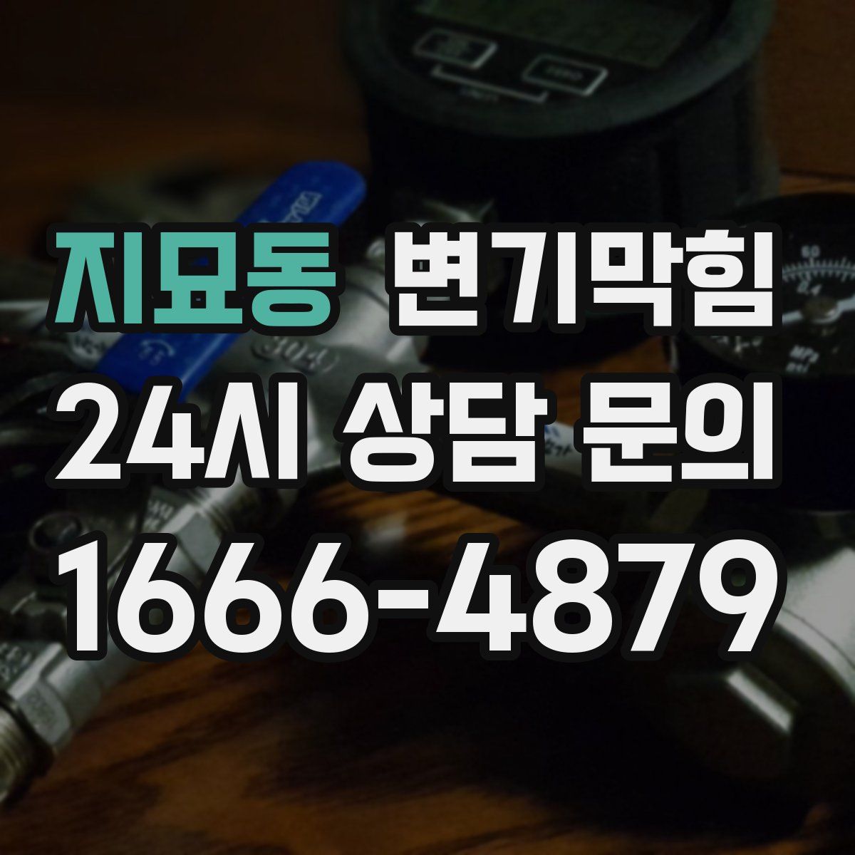 지묘동 변기막힘