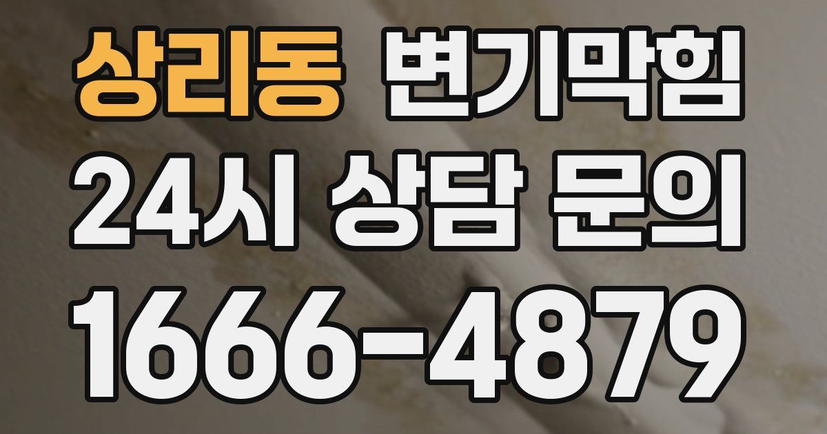 상리동 변기