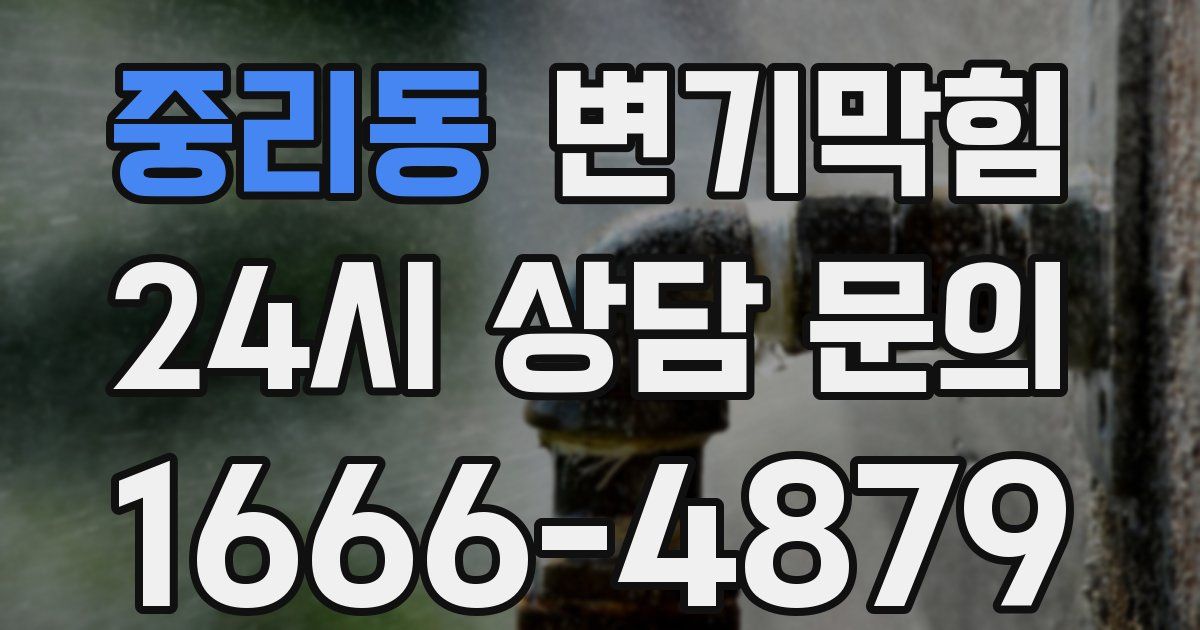중리동 변기