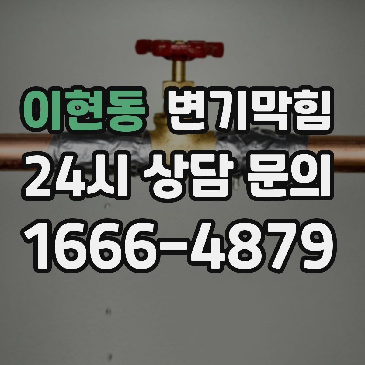 이현동 변기막힘 카페 내시경 이물 안전 회수