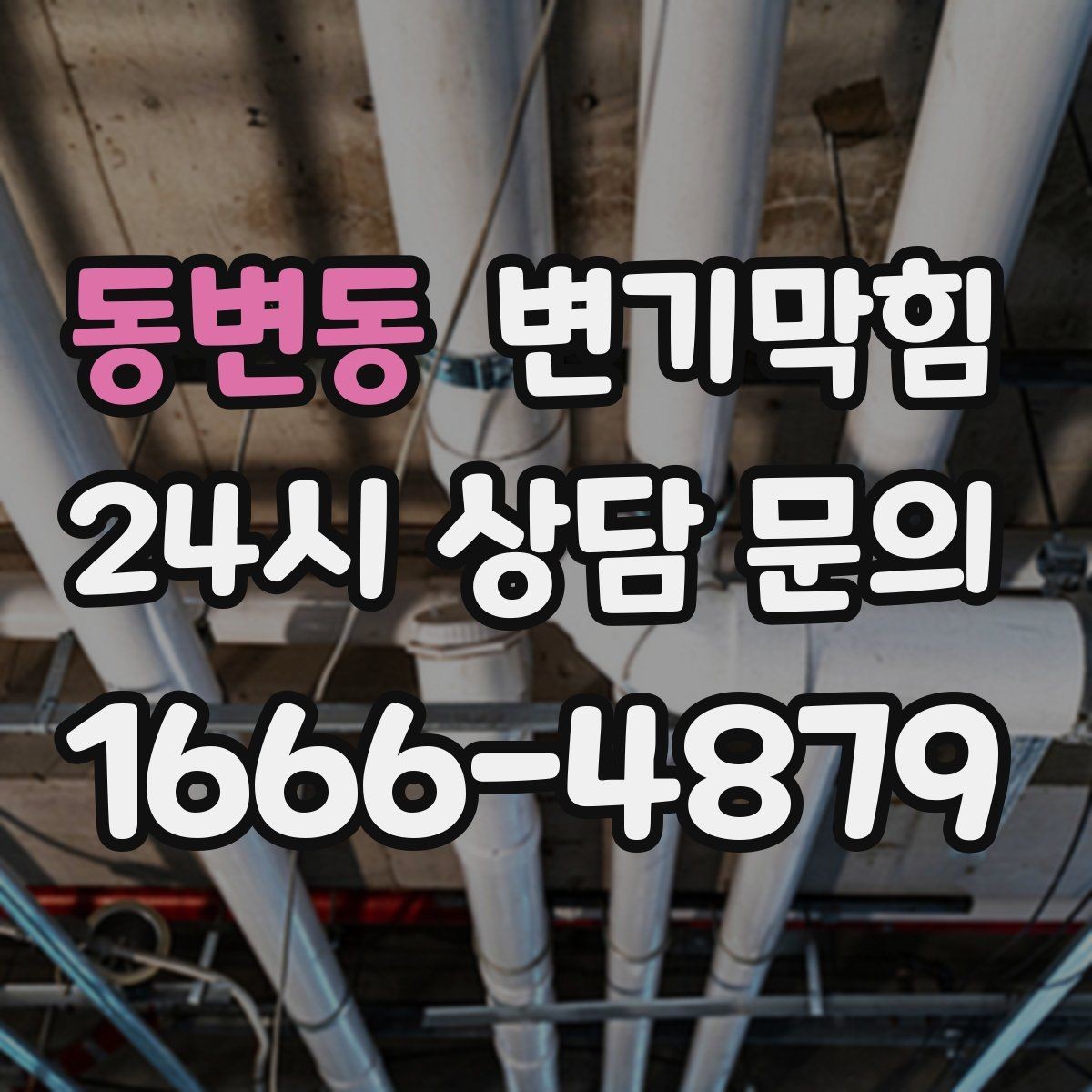 동변동 변기막힘 변기가막혔을때 집에서 먼저 할 일
