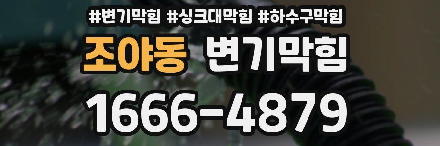 변기막힘
