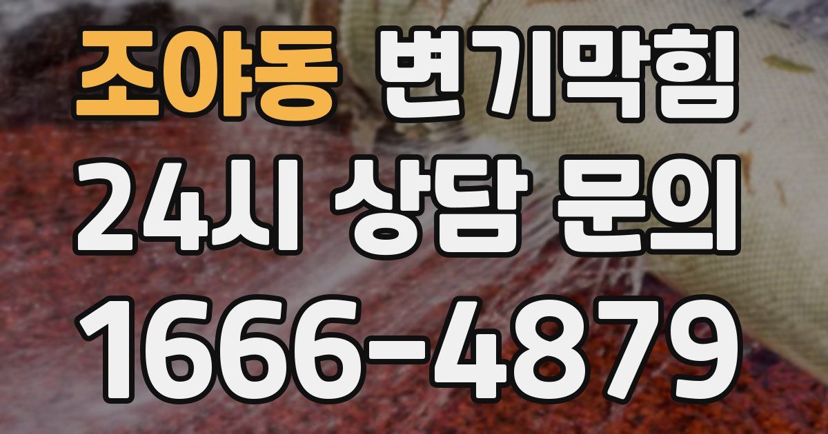 조야동 변기