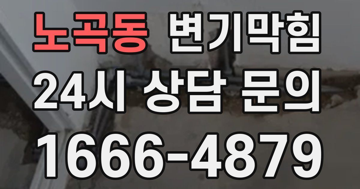 노곡동 변기