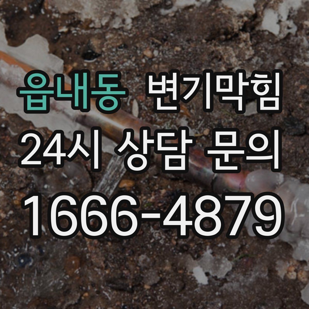 읍내동 변기막힘 빌라 배수구막힘 저층 역류 안정화