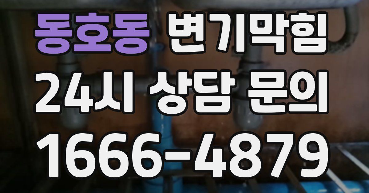 동호동 변기
