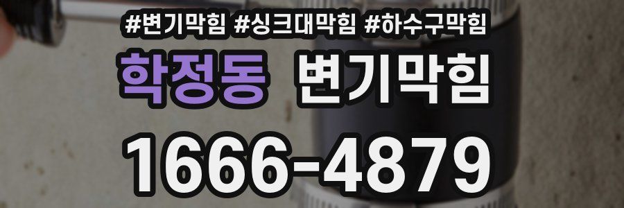 변기막힘