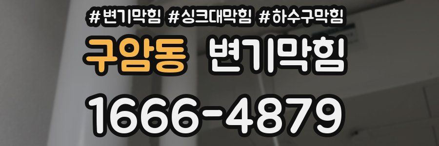 변기막힘