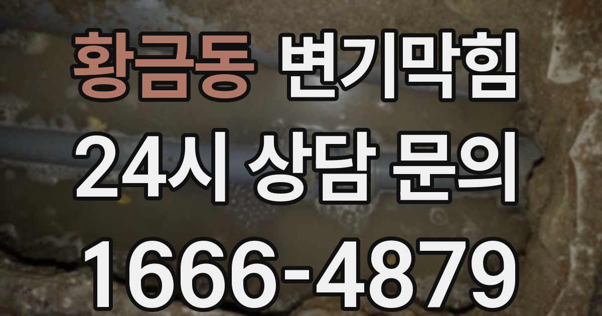 황금동 변기