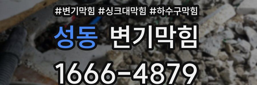 변기막힘