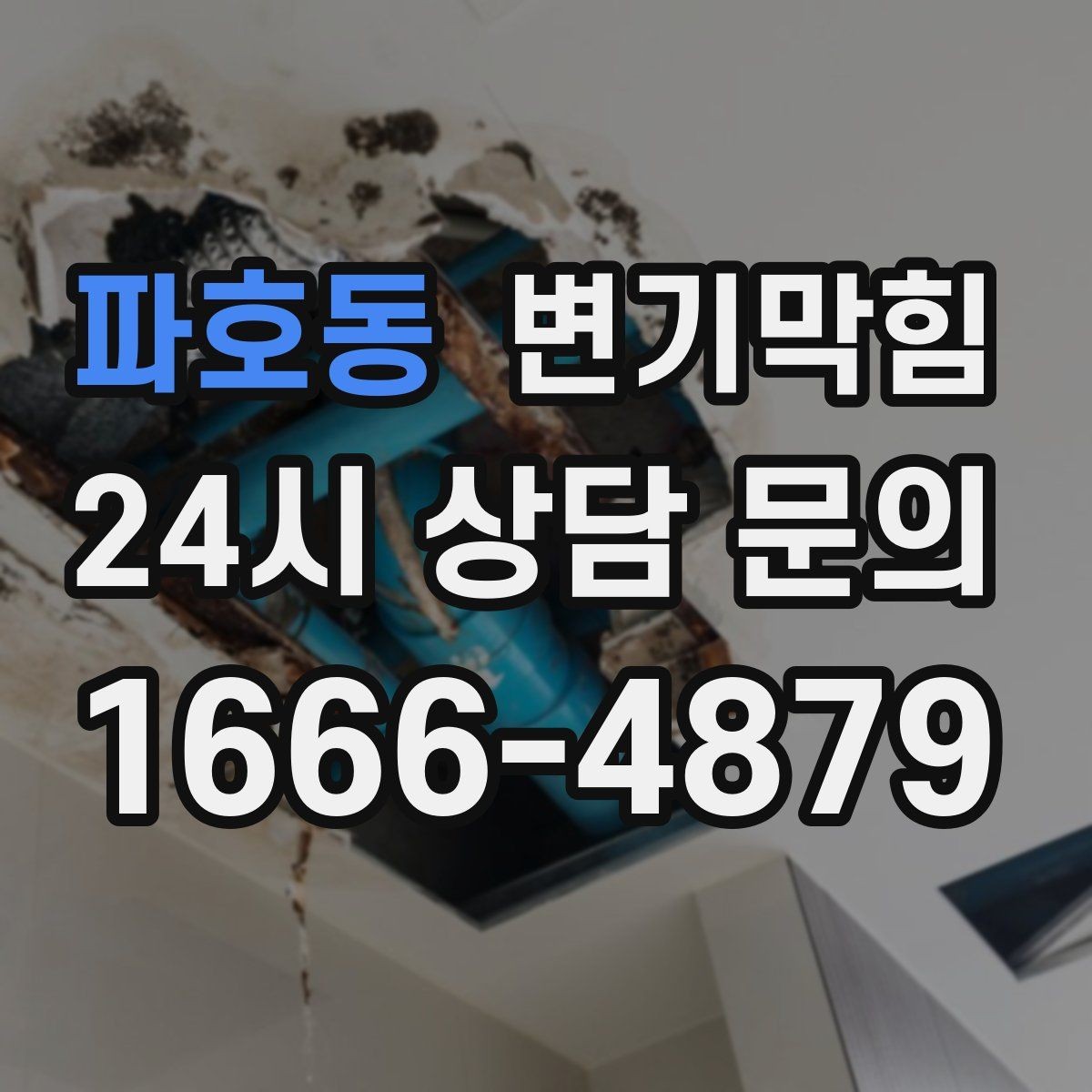 파호동 변기막힘 변기물이안찰때 수봉 회복 신호