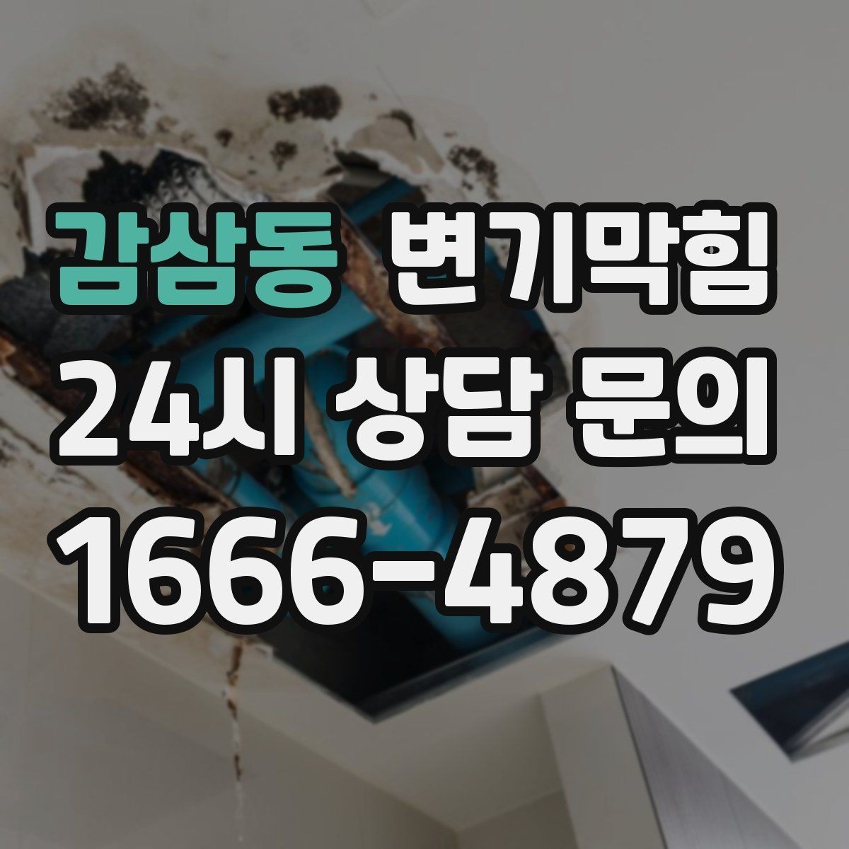 감삼동 변기막힘 화장실 변기 막힘 합리적 호출 타이밍