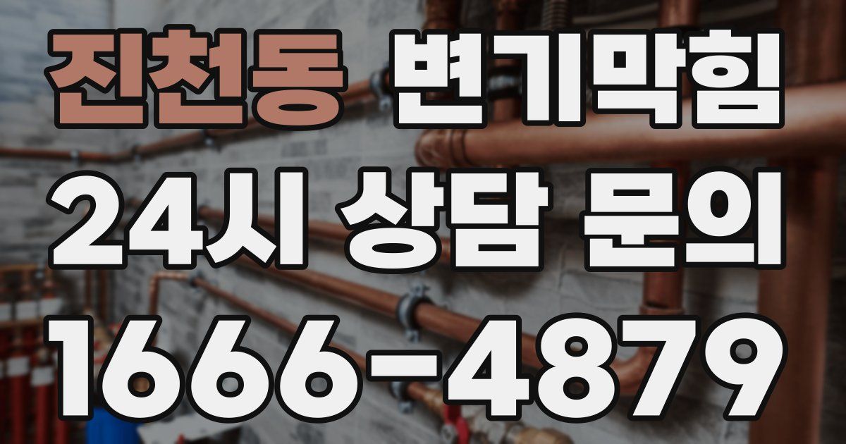 진천동 변기