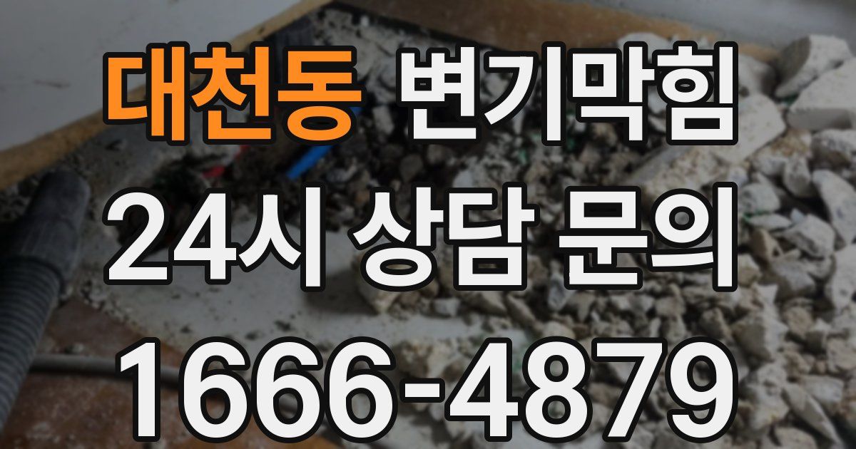 대천동 변기