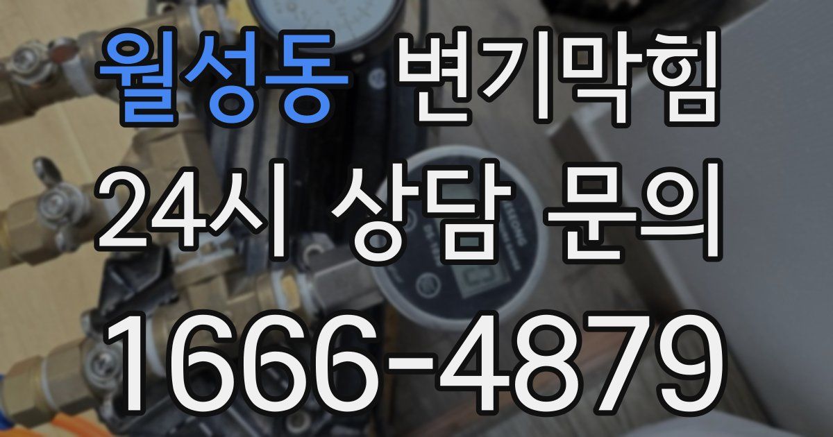 월성동 변기