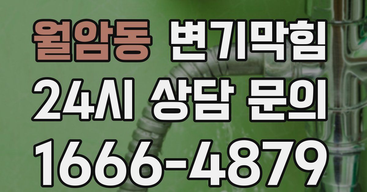 월암동 변기