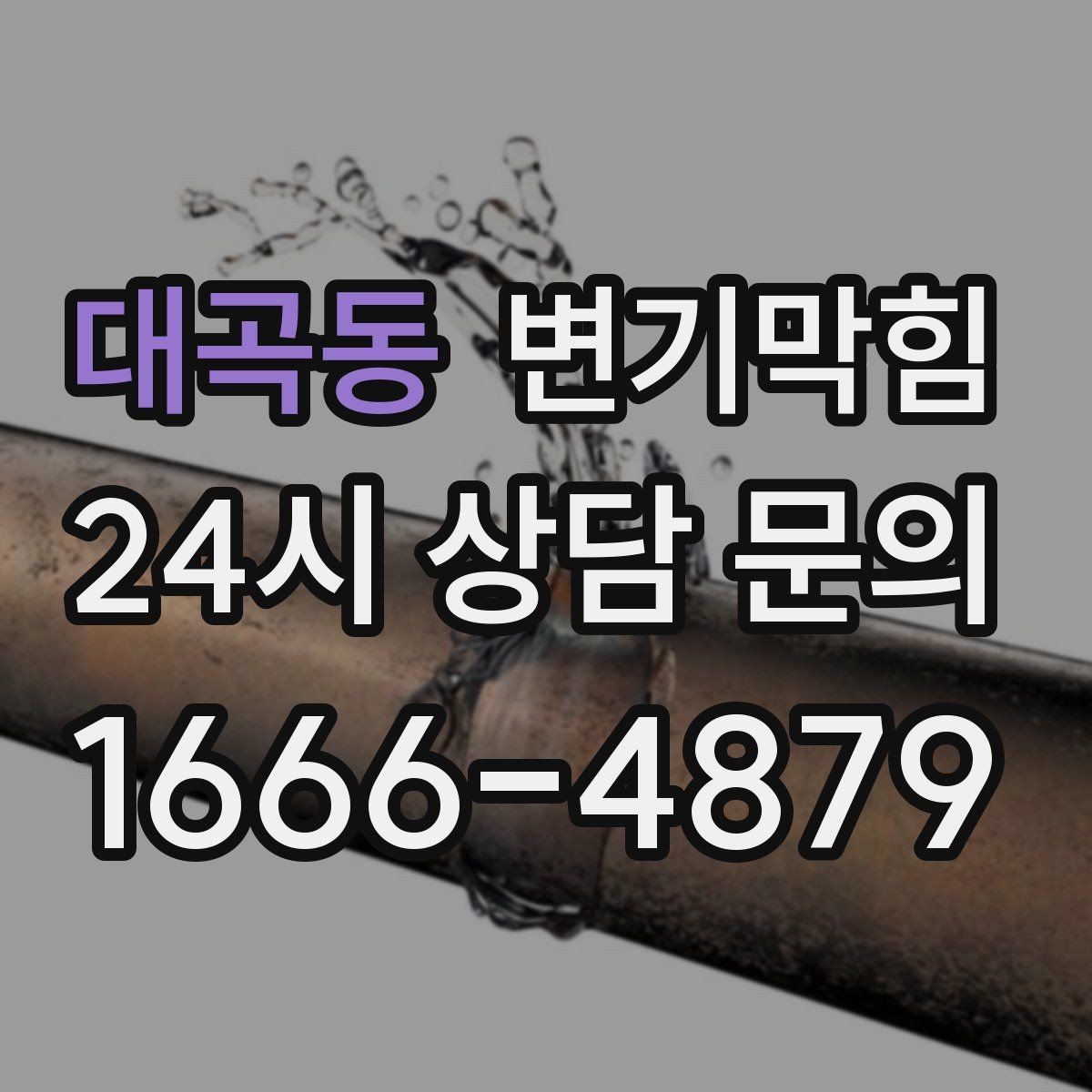 대곡동 변기막힘 식당 화장실막힘 주방 동선 분리