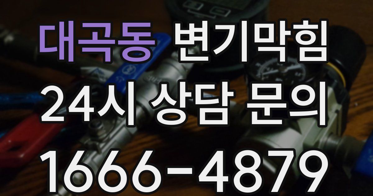 대곡동 변기