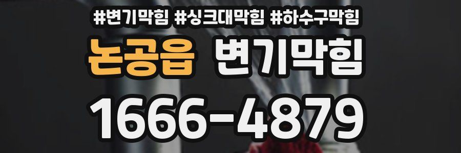 변기막힘