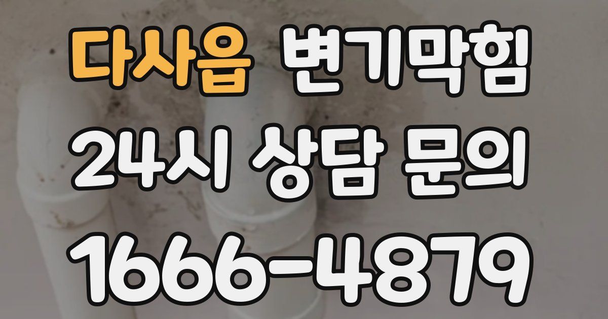 다사읍 변기