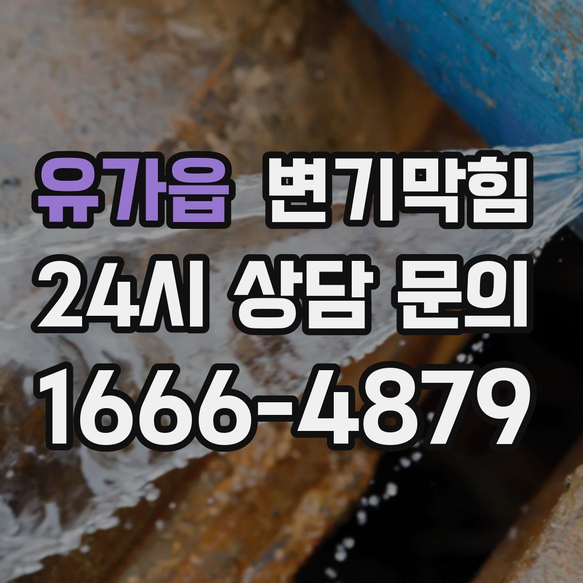 유가읍 변기막힘
