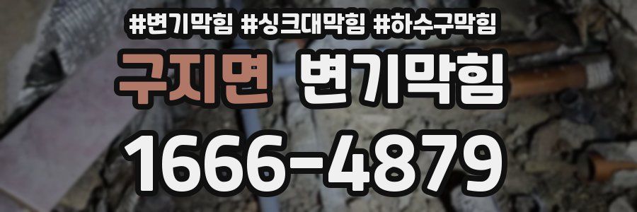 변기막힘
