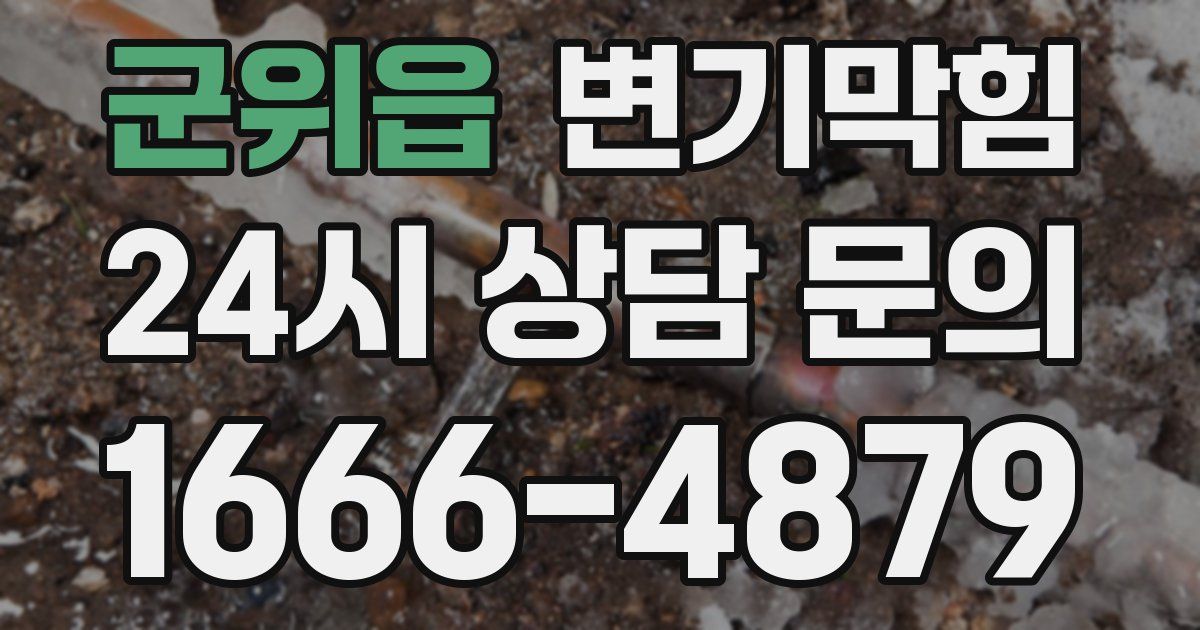 군위읍 변기