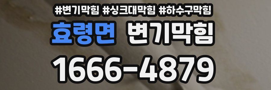 변기막힘