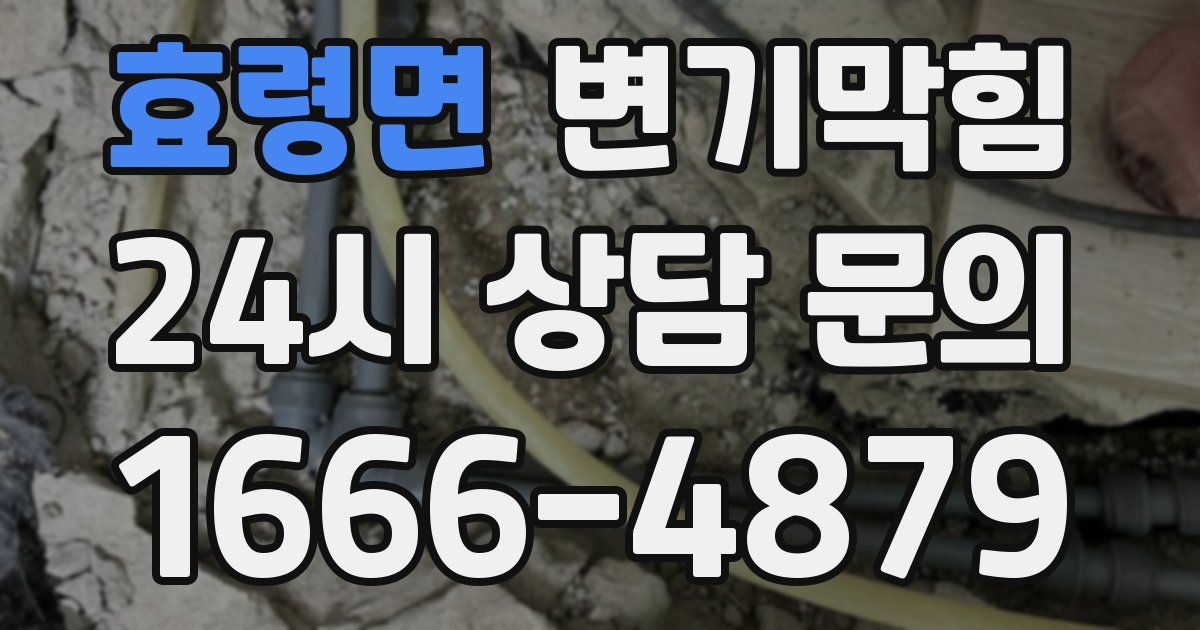 효령면 변기