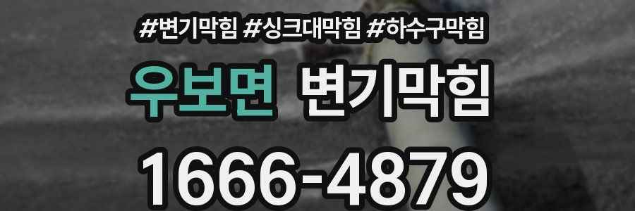 변기막힘