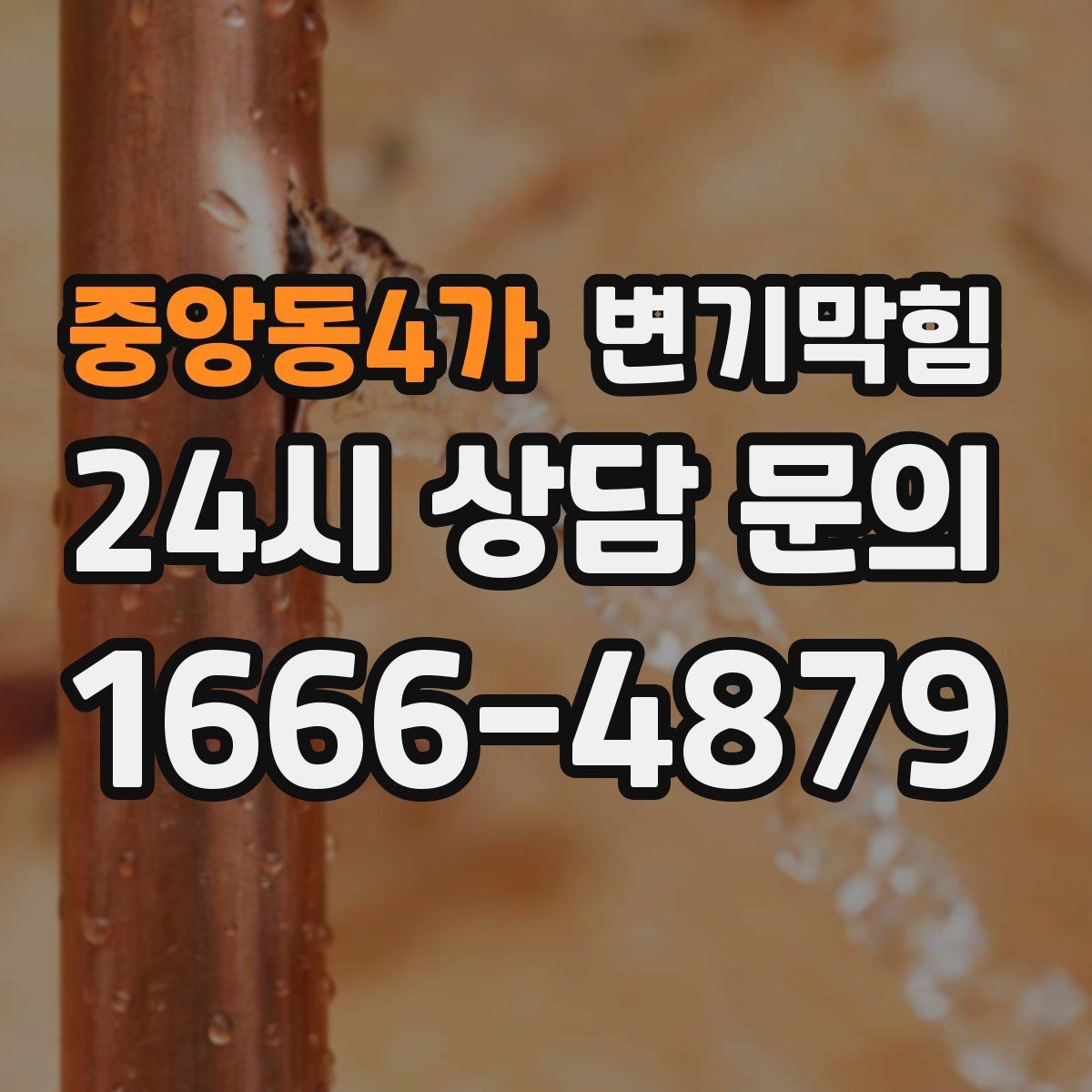 중앙동4가 변기막힘 변기뚫는비용 견적서에서 볼 항목