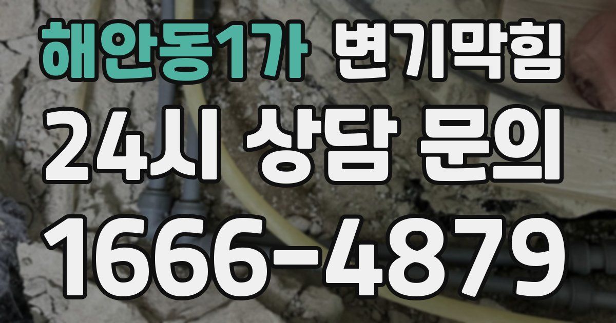 해안동1가 변기