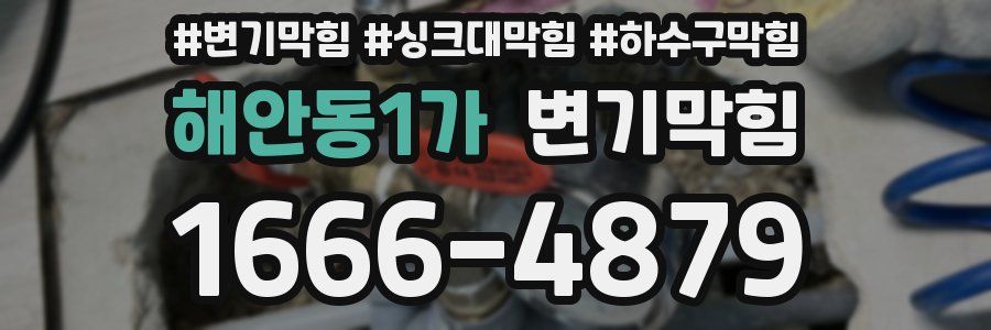 변기막힘
