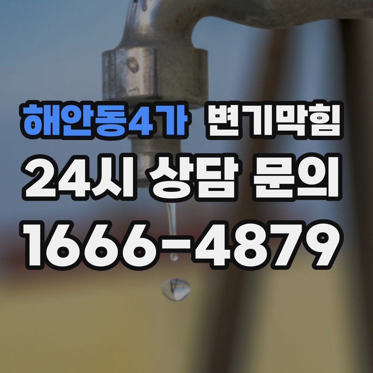 해안동4가 변기막힘 카페 배수구막힘 오픈 키친 향 회복
