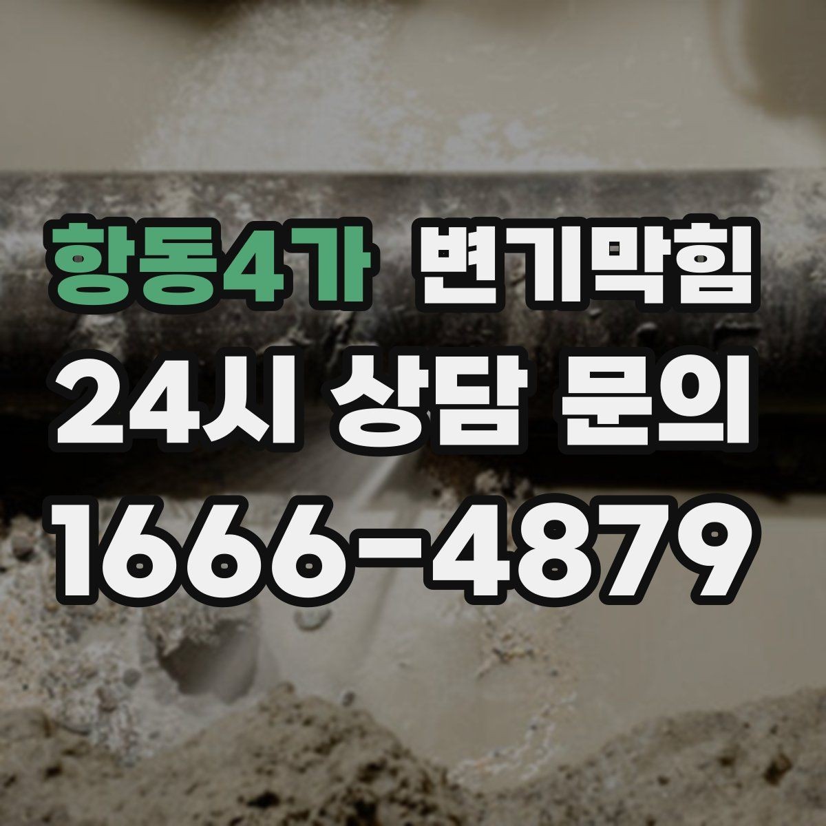항동4가 변기막힘 카페 배수구막힘 오픈 전 1시간 솔루션