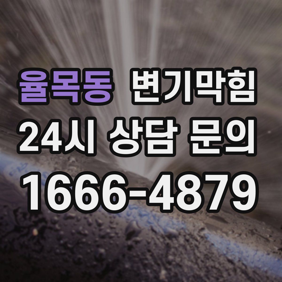 율목동 변기막힘