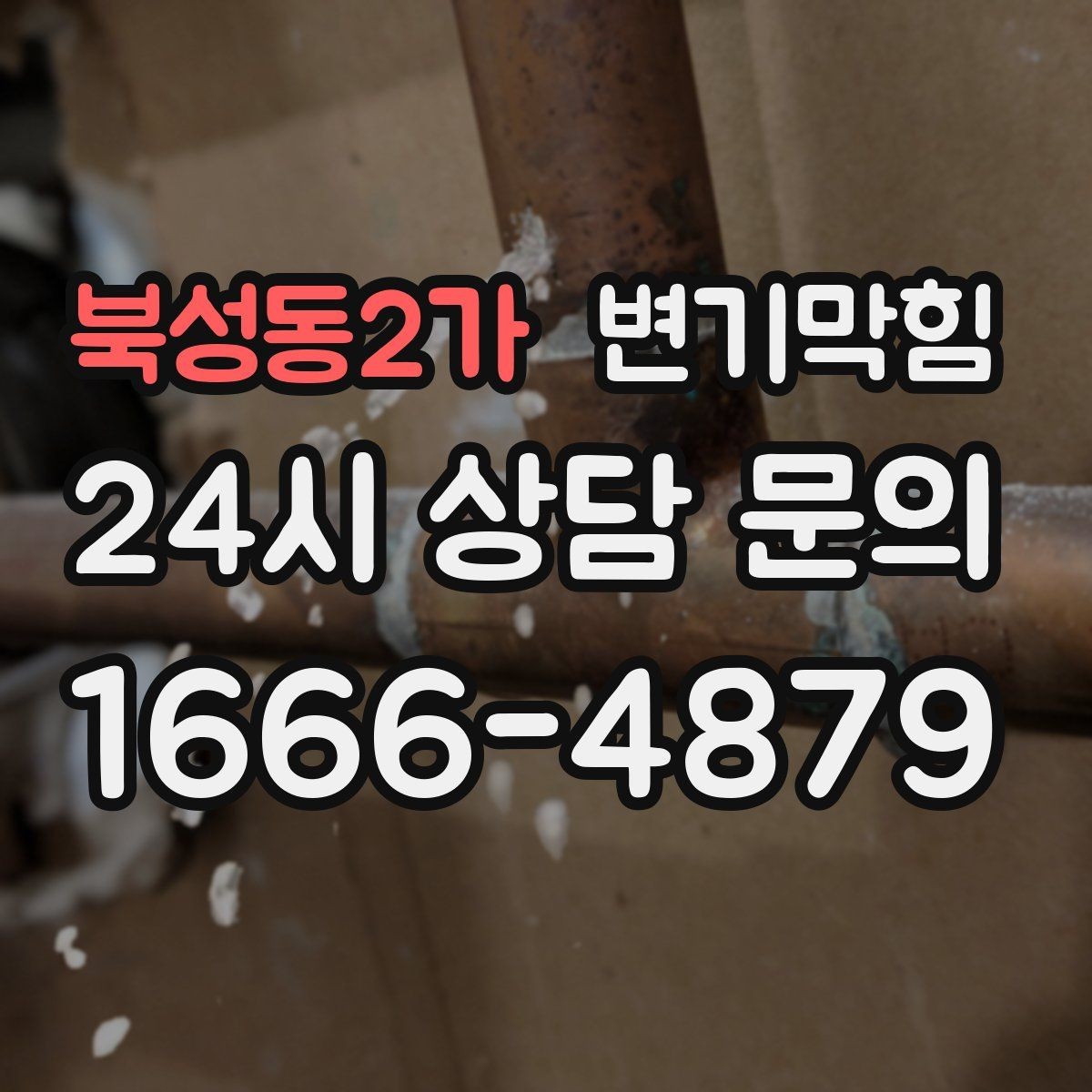 북성동2가 변기막힘 사무실 배수구막힘 점심 전 복구
