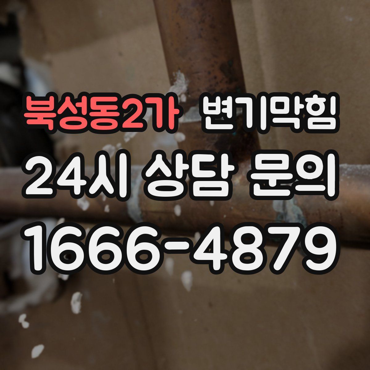 북성동2가 변기막힘