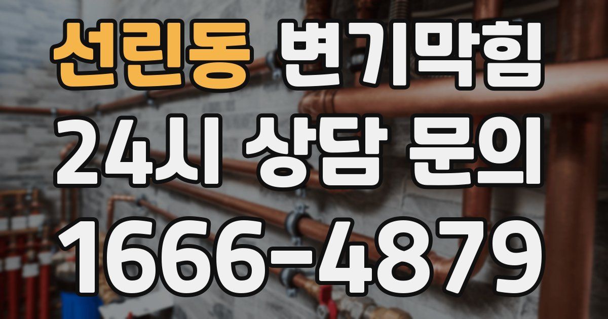 선린동 변기