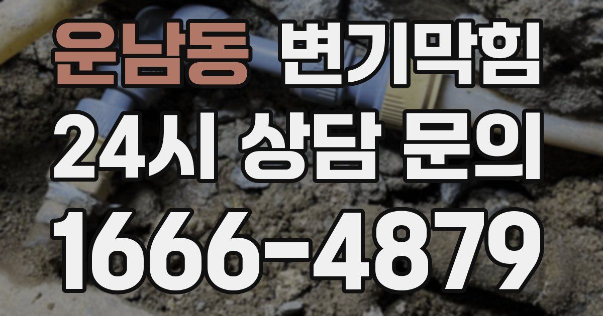 운남동 변기