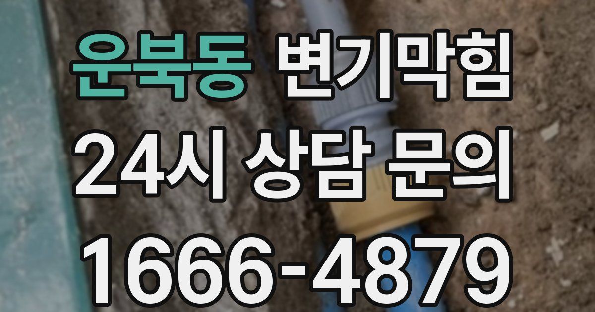 운북동 변기