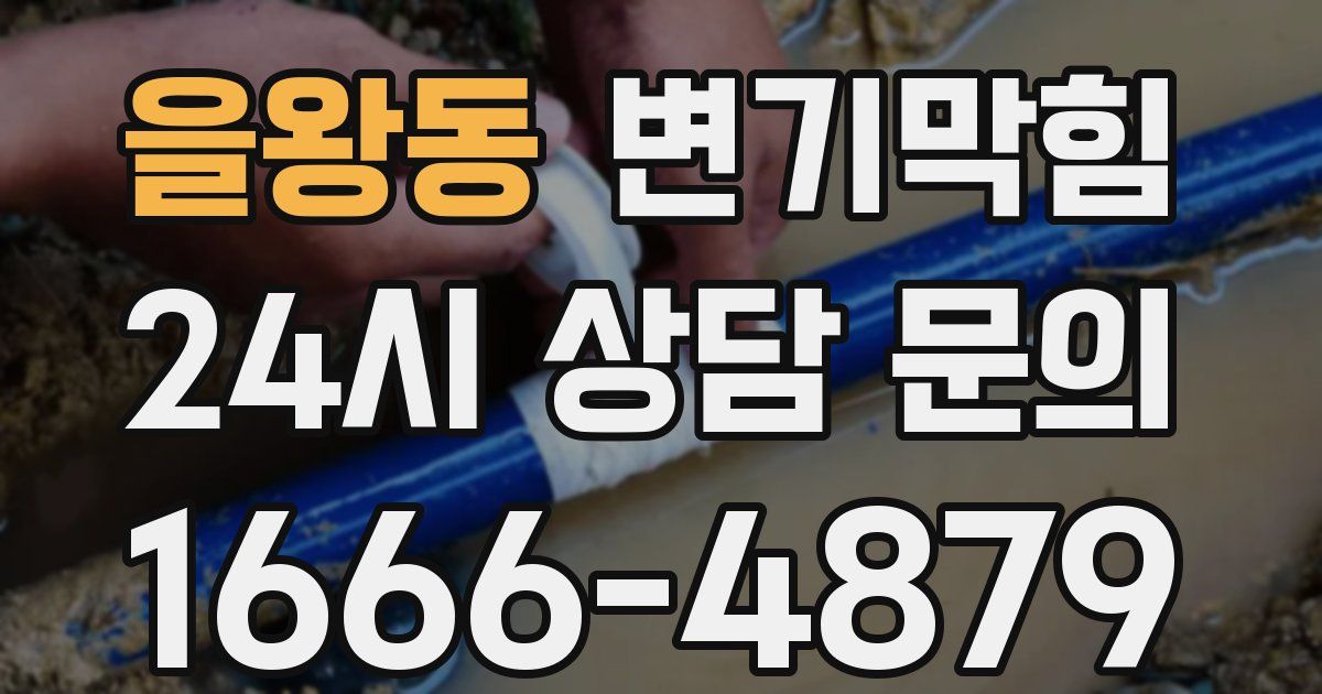 을왕동 변기