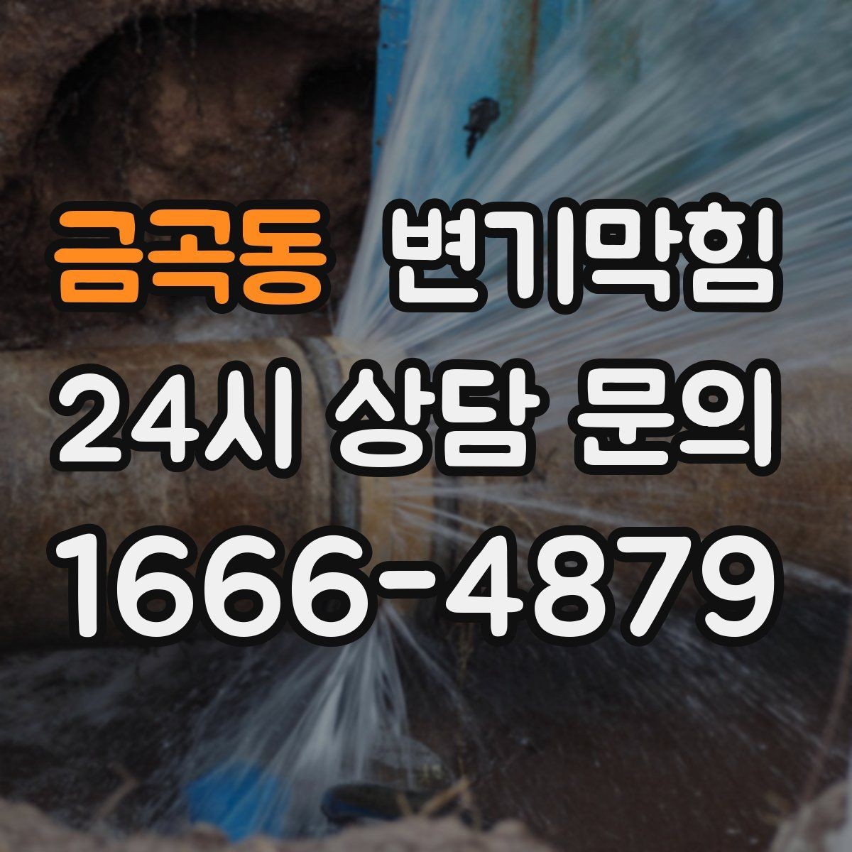 금곡동 변기막힘 카페 화장실막힘 향 유지 복구
