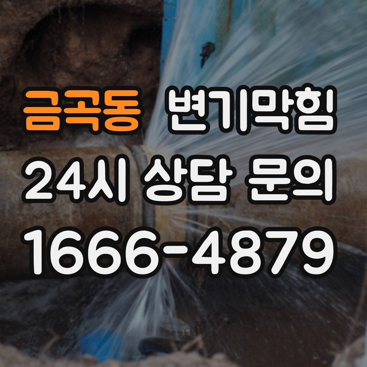 금곡동 변기막힘