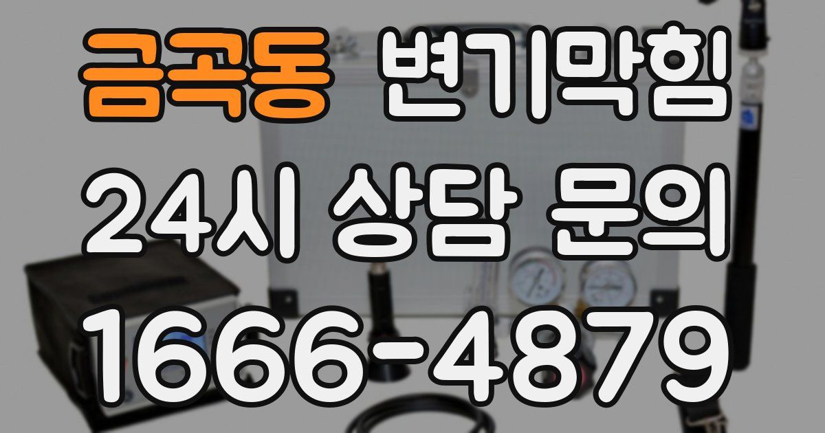 금곡동 변기