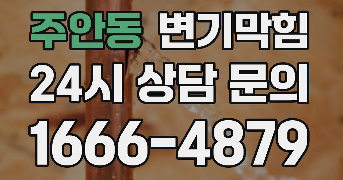 주안동 변기