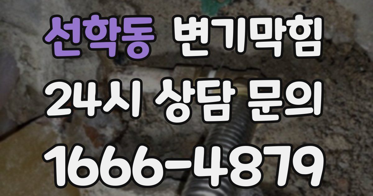 선학동 변기