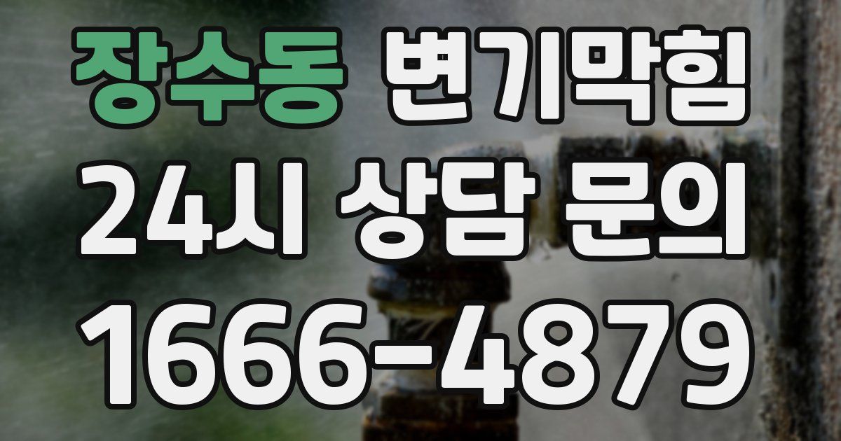 장수동 변기